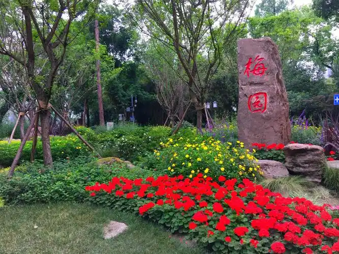 成都百花潭公园