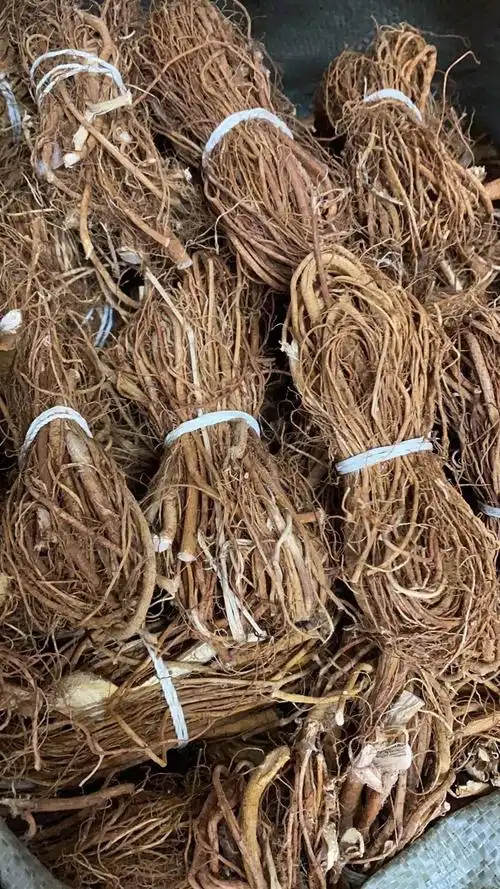 五指毛桃根干货广东河源煲汤材料泡酒五爪金龙500g幼根须