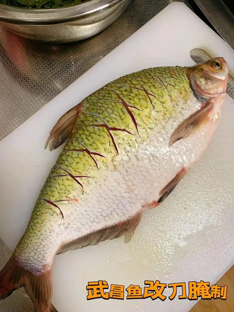 红烧武昌鱼 凉拌海带丝.红烧鱼的要点在于下锅煎鱼: 热锅凉油 - 抖音