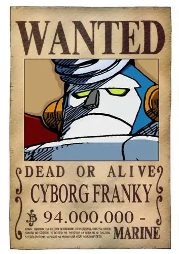 海贼王 弗兰奇通缉令