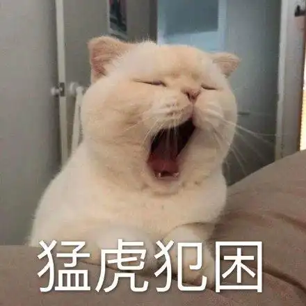 猛虎犯困(喵星人打哈欠)_喵星人_犯困_打哈欠_猛虎表情