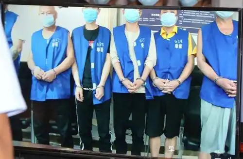 犯罪集团其他成员鄄城县人民检察院审查认为被告人郝全芝以非法占有为