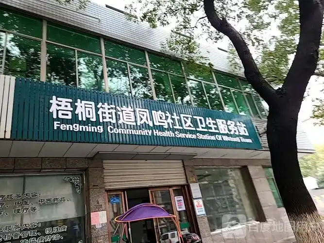 凤鸣社区地名网_浙江省嘉兴市桐乡市梧桐街道凤鸣社区资料简介