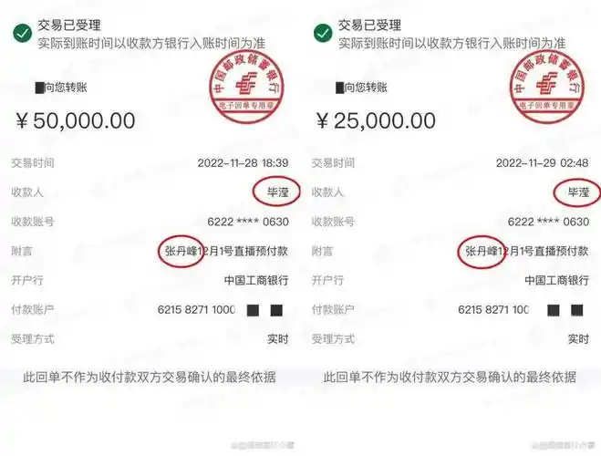 记录证明张丹峰的工作收入全数转入了毕滢的账户,并且提供了银行转账