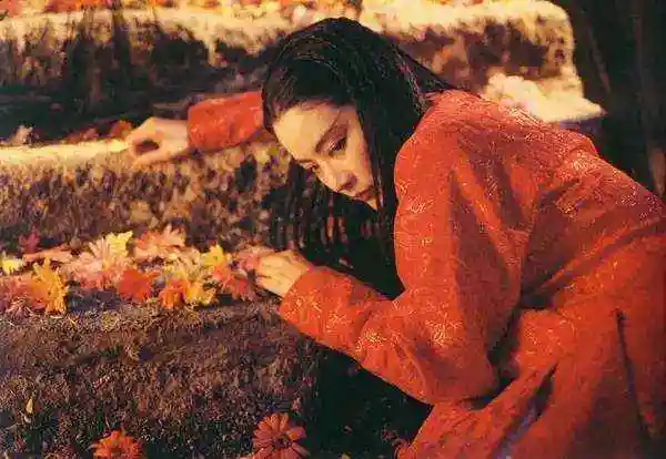 林青霞在《东邪西毒》中饰演慕容燕,也就是传说中的独孤求败,一个冷血