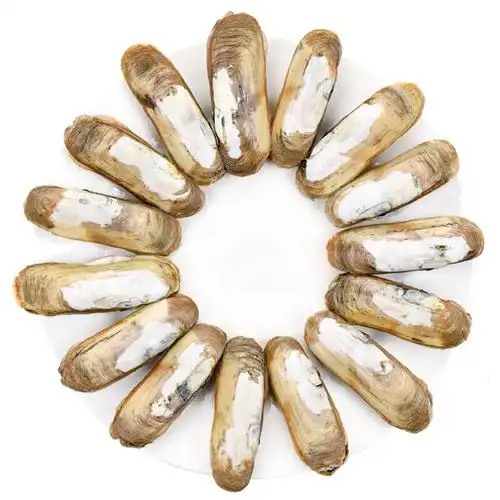 味库海鲜江苏连云港双头蛏子3040头斤约1kg约1000g