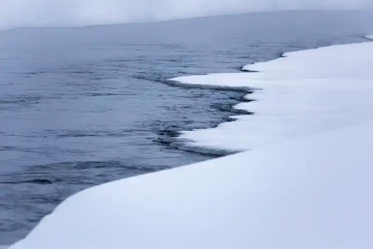 沁人心扉的白色世界,纯洁的让人有足够的勇气走到户外.