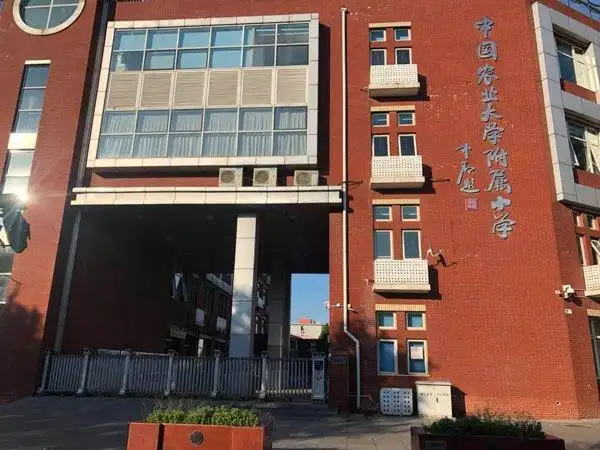 一向注重"书法育人"的农大附小建于1948年,从80年代末开始,始终坚持