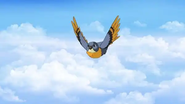 【小鸟动画】图片免费下载_小鸟动画素材_小鸟动画模板-千图网