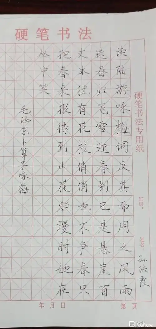 孙继霞硬笔书法《卜算子.咏梅》