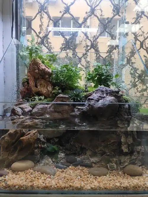 新做的水陆龟缸