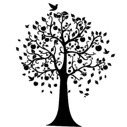 愿望树简笔画,植物简笔画图片大全,怎么画愿望树图片简笔画,许愿树简