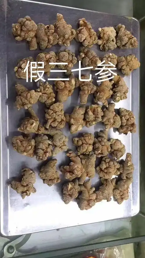 三七参粉的功效与作用_西洋参和山七粉的作用与功效_白柚参的功效与