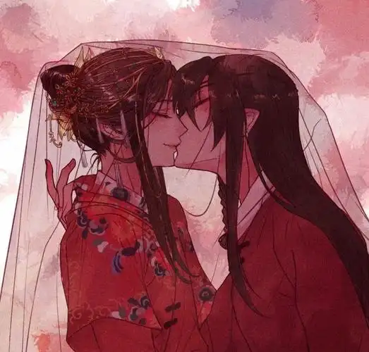 天官赐福谢怜花城大婚夜一袭红妆的谢怜简直看呆花城