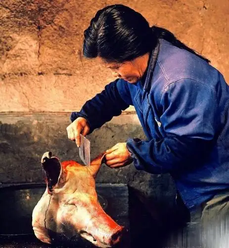 一个关于猪的鬼故事 - 简书