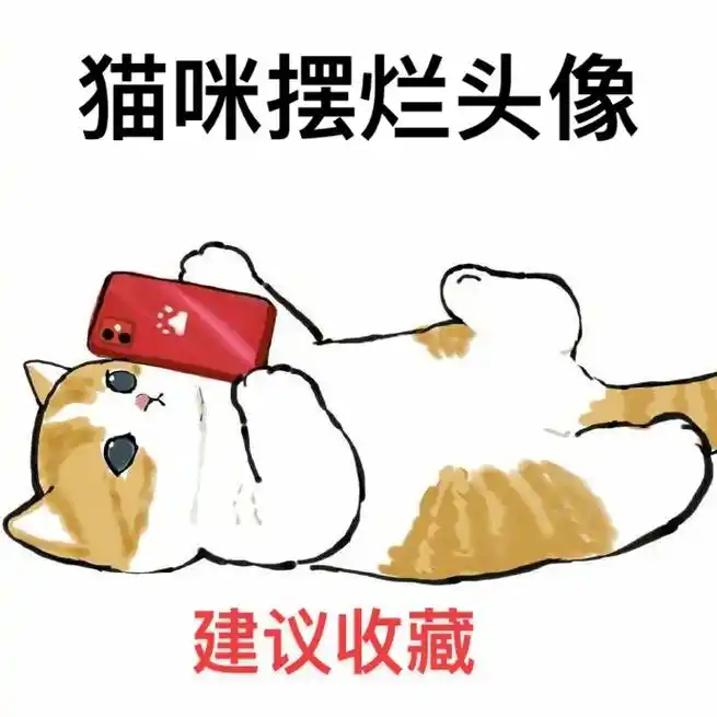 全网最火猫咪摆烂头像猫咪头像