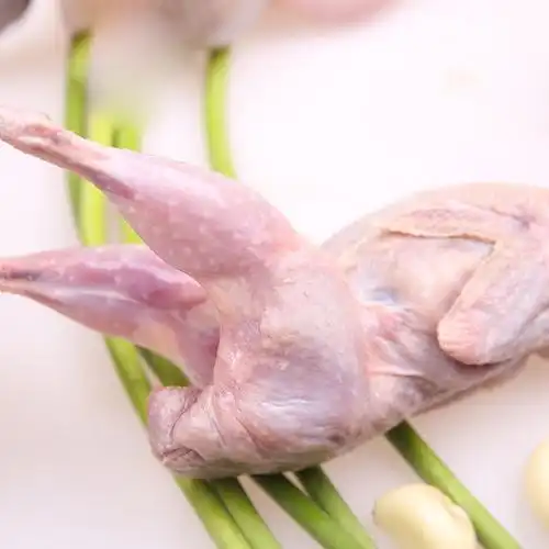 20只新鲜大鹌鹑速冻白羽鹌鹑放血鹌鹑白条鹌鹑10只鹌鹑肉顺丰展志曼智