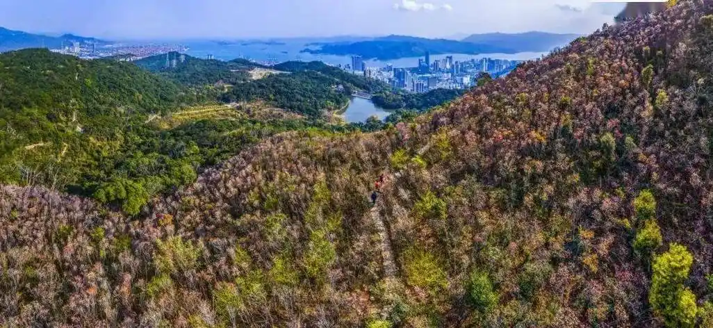 由盐田区人民政府主办,广东省沙头角林场(广东梧桐山国家森林公园管理