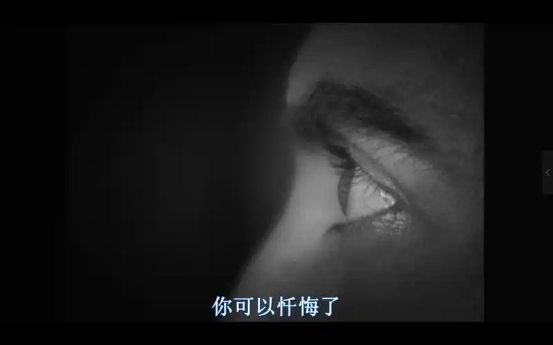 运用了大量的不加稳定器的镜头,在营造一种历史的亲历感,使电影