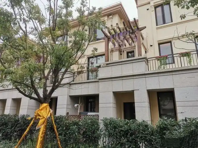 上海奉贤庄行佳兆业8号二期实景图32- 吉屋网