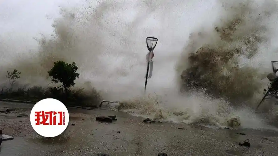 实拍强台风"玛莉亚"来袭:养猪场顶棚被掀翻 海水倒灌