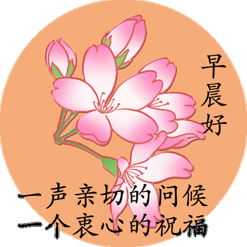 亲切的早安动态祝福图片朋友早上好动态表情包