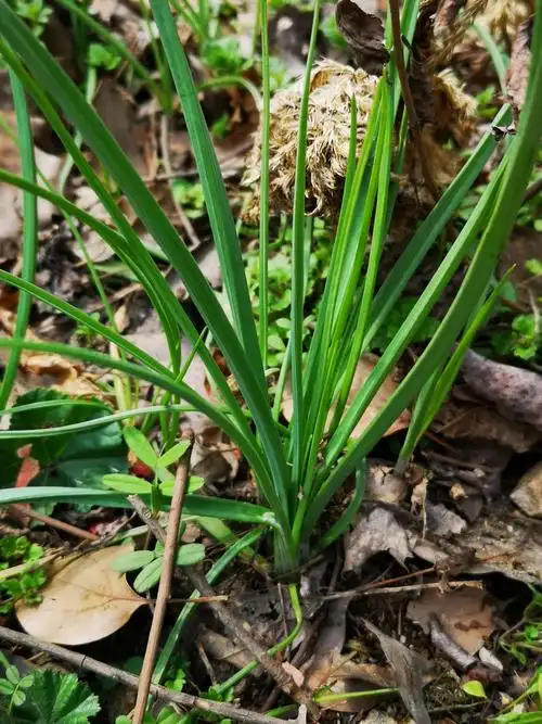 桐柏淮源生态园半日游