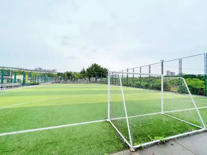 文明校园丨清远市清城区松岗中学:打造文明校园 让青春更美好_腾讯