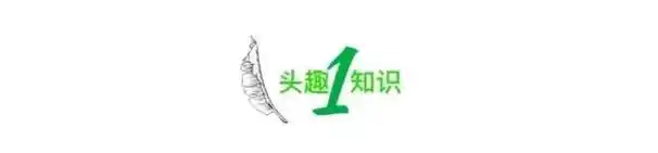 全网痛骂的情侣裸辞工作去旅游事件假精致毁了多少年轻人