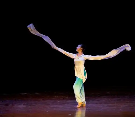 中国古典舞女子独舞《诗情画逸》
