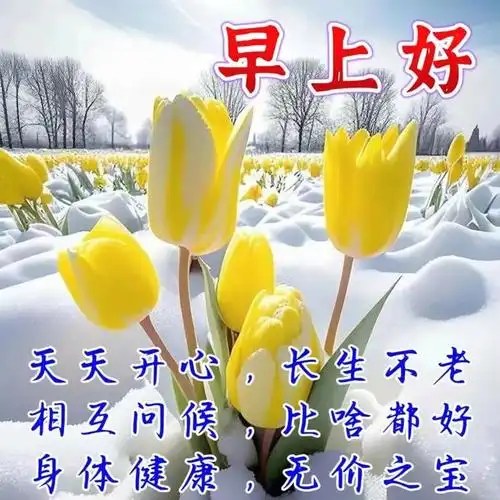 早安图片唯美温馨祝福语集锦__财经头条