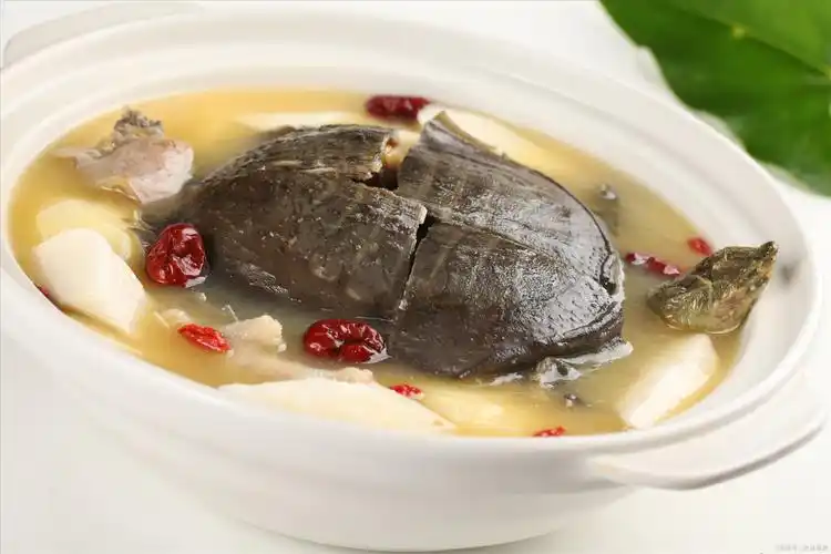 怎样炖甲鱼汤(怎样炖甲鱼汤好喝又有营养)