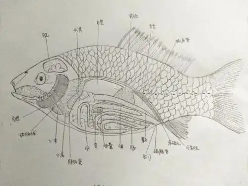 笔记奇奇怪怪,考试顺顺利利