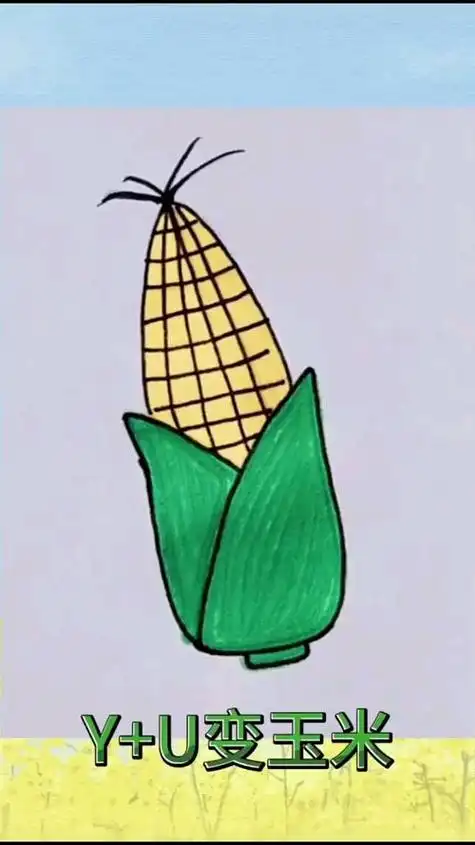 画法地里的玉米简笔画教程玉米植物的简笔画玉米简笔画分步骤图解教程