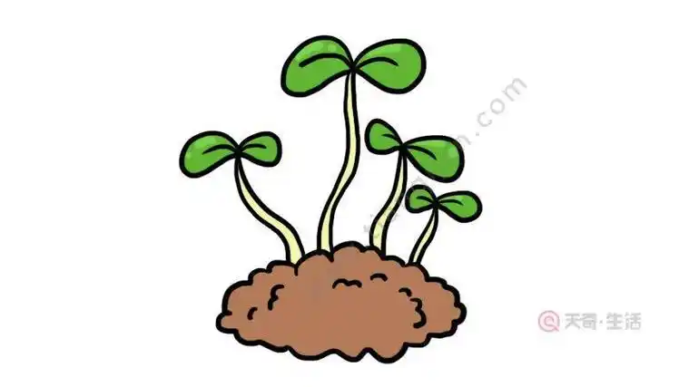 温暖湿润的土壤简笔画