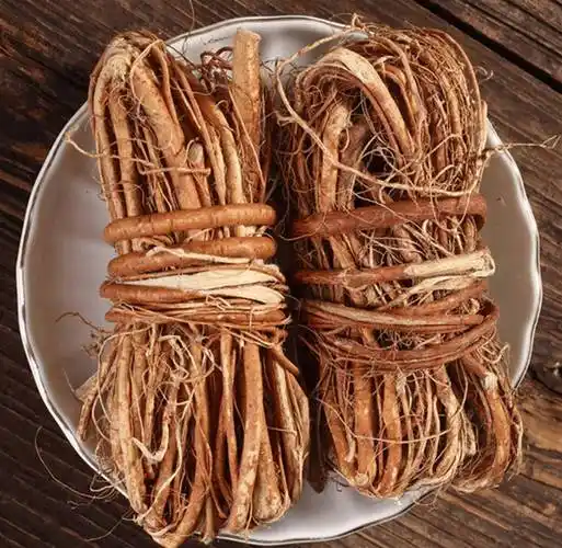 河源五指毛桃汤,为何让我如此着迷?