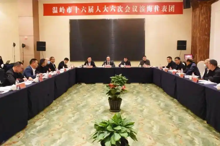 林强参加石塘,滨海,泽国,松门,新河,温西片,城区一,城区二,城区三代表