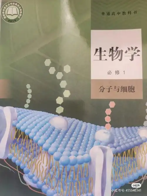 高中生物必修一第五章第四节笔记1