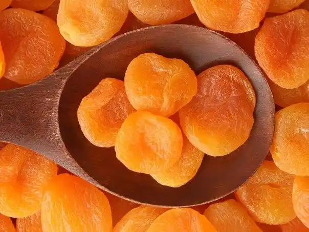 hot sale distributor supplier dried apricot price