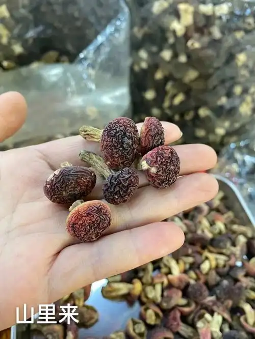 爱心山里来纯野生红菇小号玫瑰特