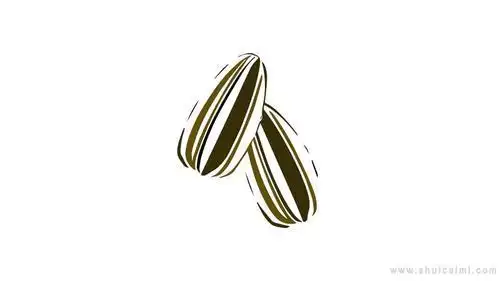 瓜子简笔画怎么画瓜子简笔画好看