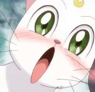 美少女战士猫咪露娜简笔画