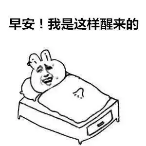 用这种方式问候你的有趣表情包早上好我的小宝贝