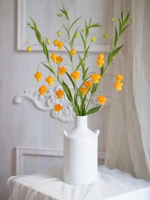 宫灯百合原产于南非东部地区,因它那橙黄色的花朵犹如一盏盏小灯笼