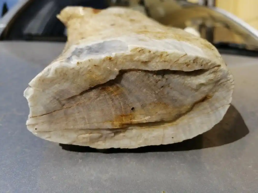 抖音图文来了 今天来说说古沉香的终极状态,玉化石,这块玉化 - 抖音