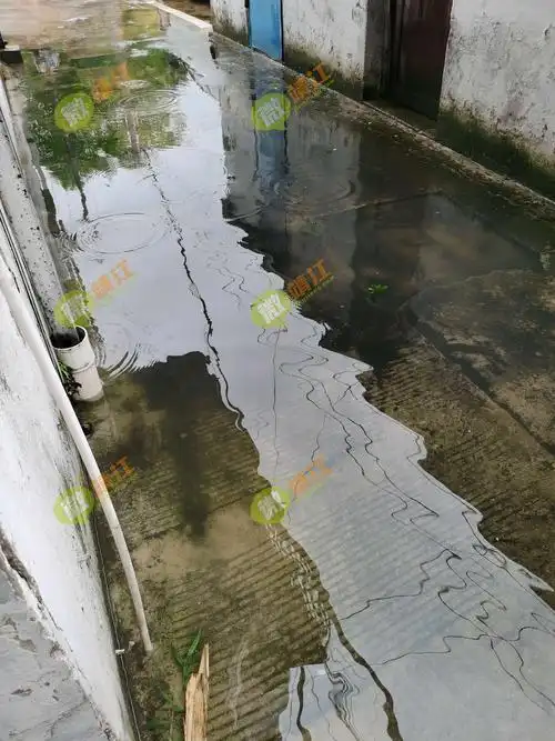 家门口淹水亟待解决.