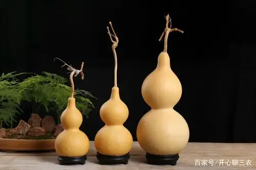 创新提高种植户收入——发展葫芦深加工增加葫芦附加值