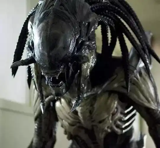 抱脸虫警告异形全品种介绍