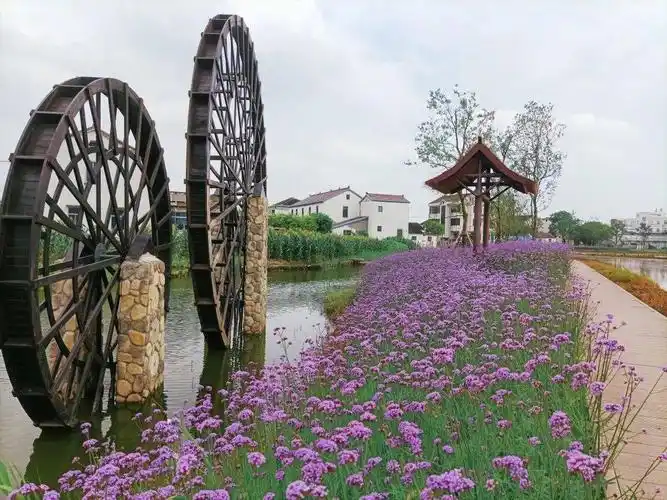 锦丰发布园镇首家省级特色田园乡村是否会让你流连忘返