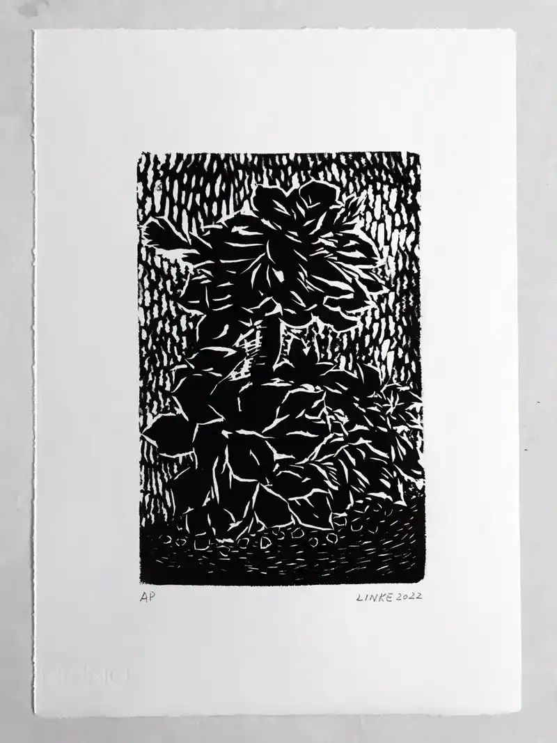 【多肉】 木刻版画 image 14.5cm*21.5cm  - 抖音